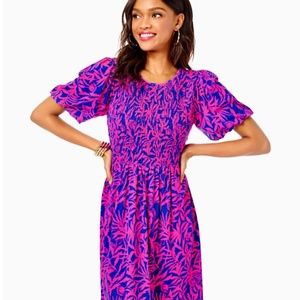 NWT Lilly Pulitzer Chrystelle Dress size small